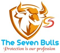 The Seven Bulls Security & Allied Servies