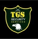 Top Global Securitas Private Limited